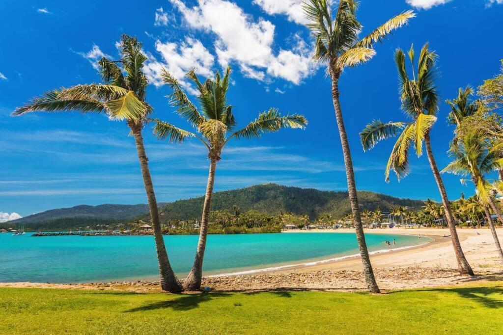 Ocean View 33A Studio Pool Ocean View Wifi Airlie Beach Exteriör bild